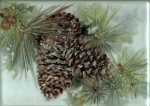Pine Cones on porcelain tile porcelain painting by jewelry and porcelain artist, Bonny A. Eberly